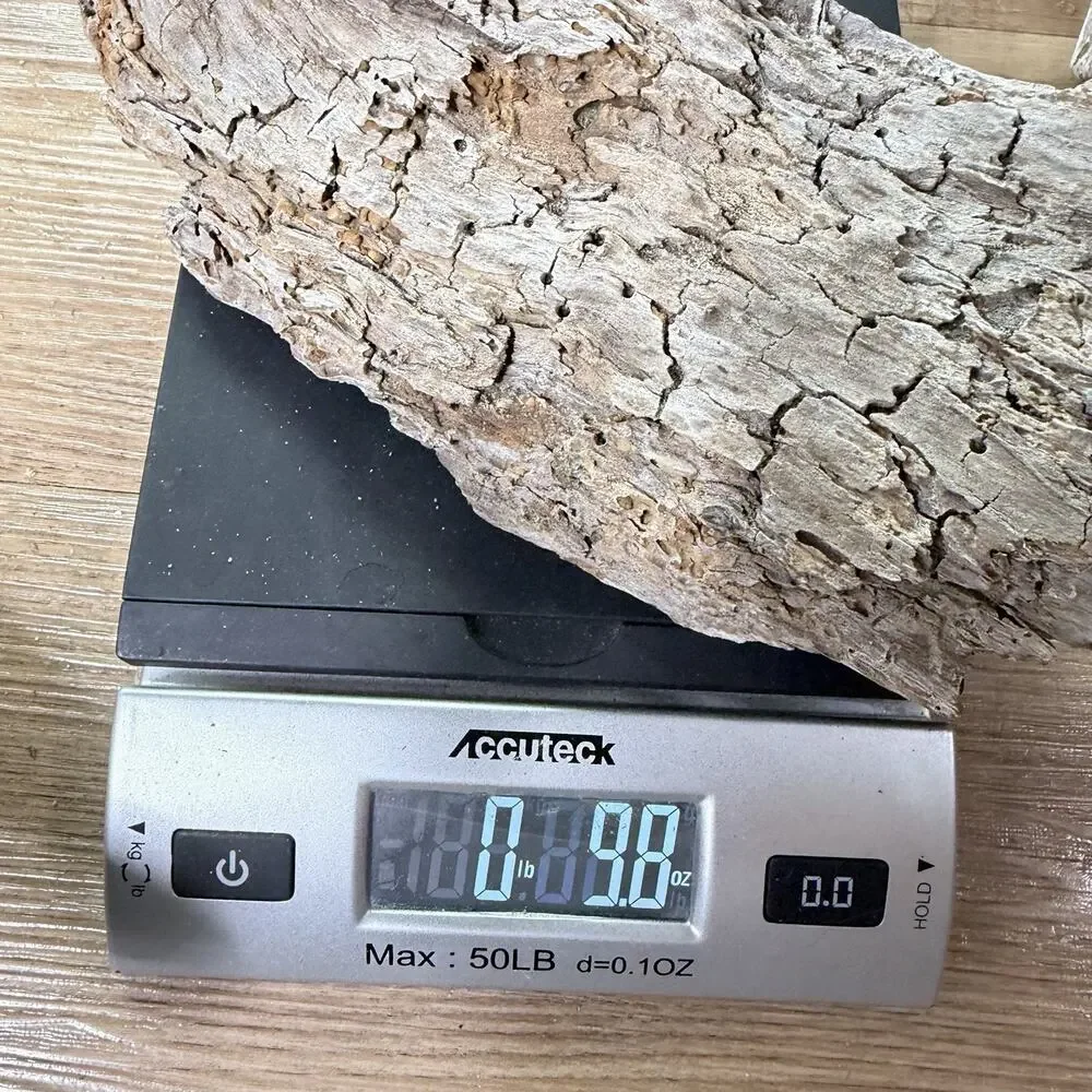 Curved Weathered Driftwood Slab with Deep Texture – Organic Natural Wood Decor